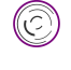 Radial 3.14