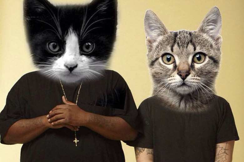 Run The Jewels adelanta los primeros maullidos de su siguiente disco