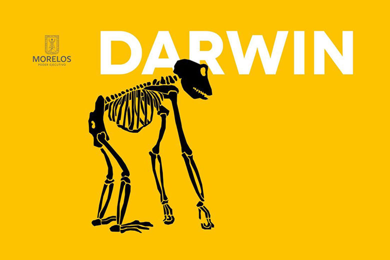 ¿Te gustaría saber lo que vivió Darwin en su viaje a bordo del Beagle?