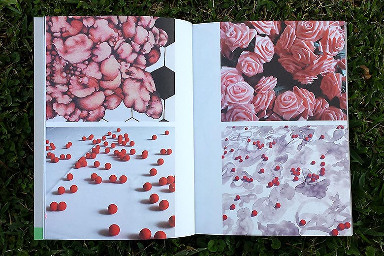 Cuadernos-Hibridos-Cecilia-Vazquez-2