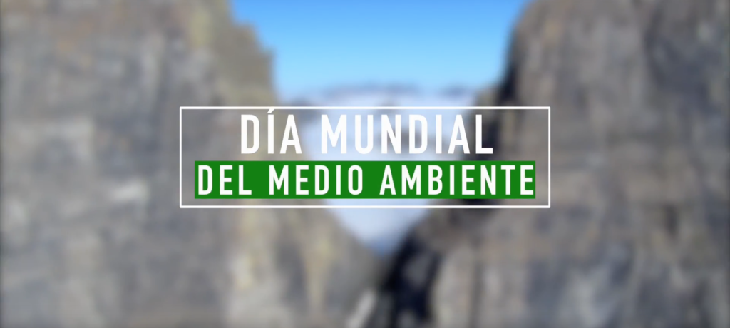 Día Mundial del Medio Ambiente
