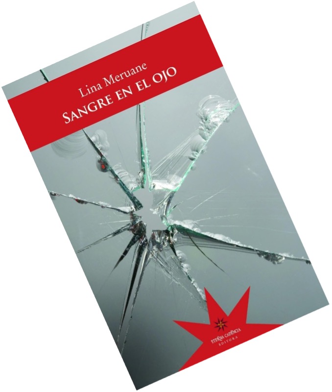 SANGRE  EN  EL  OJO: LA   ENFERMEDAD   COMO METÁFORA  DE  UN PERIPLO  INTERIOR