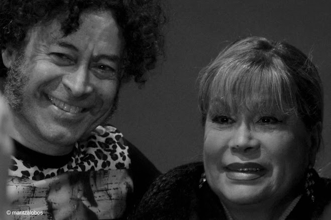 Pedro Villagra reestrena “Palmenia es verdad”, un homenaje musical a la artista chilena
